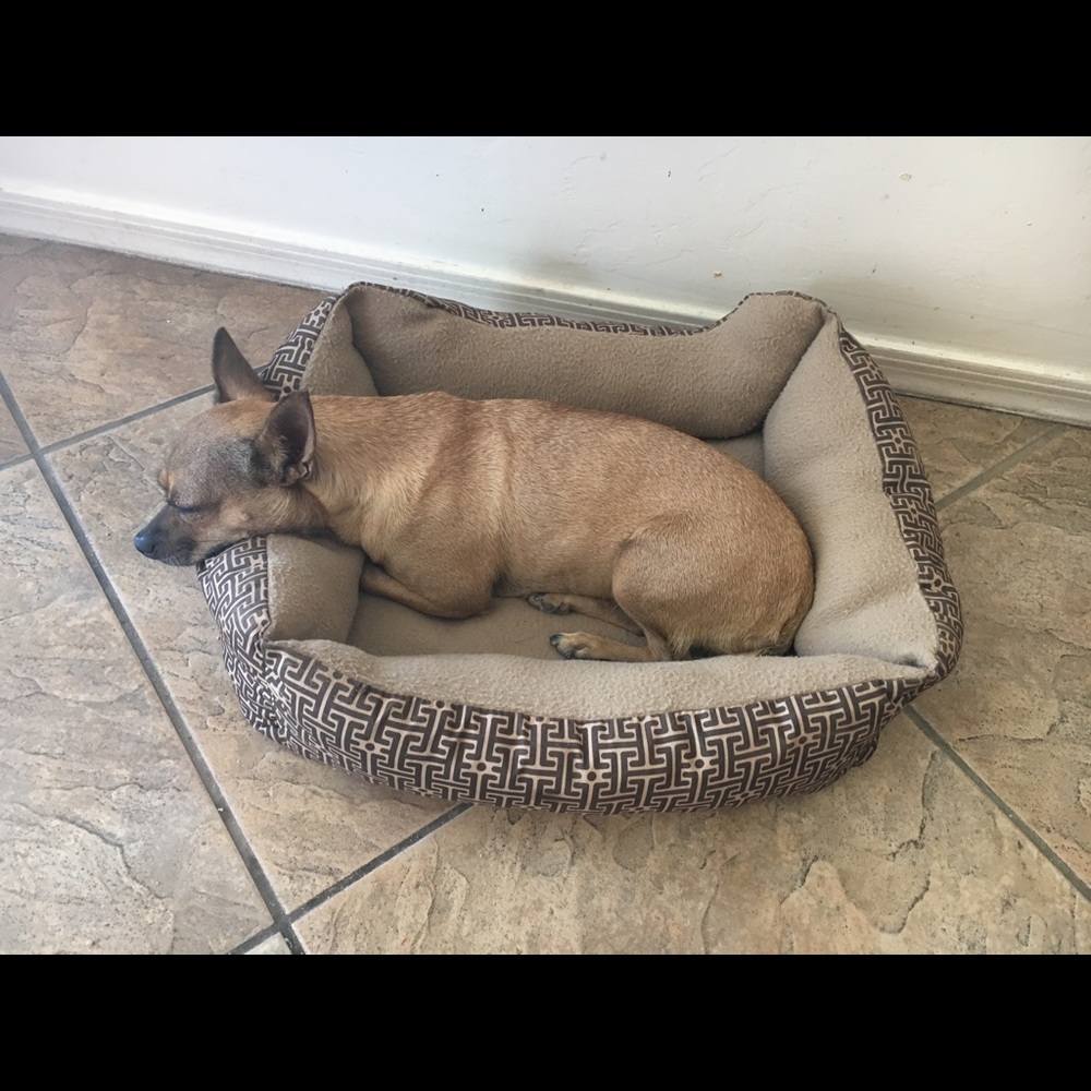 Meet your Posher, Valeria